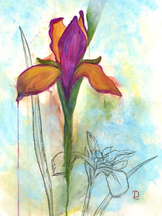 Iris