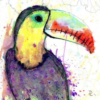 Toucan