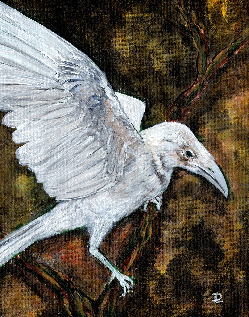 White Raven