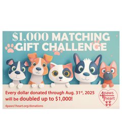 4P1H Matching Gift Digital Flyer