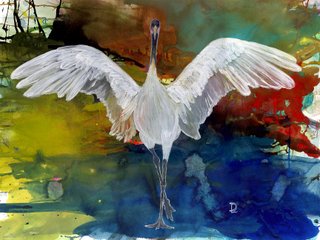 White Crane