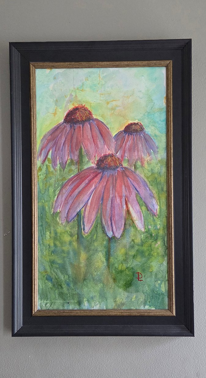 Coneflowers